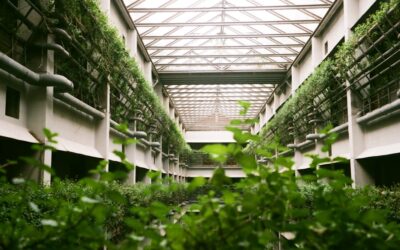 Cómo Rebiore ayuda a las empresas e instituciones a crecer en el sector ecológico