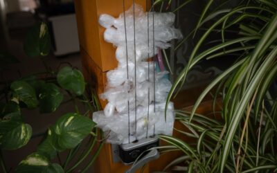 ¡Conviértete en un socio estratégico! Representa fabricantes chinos de viviendas sostenibles en España