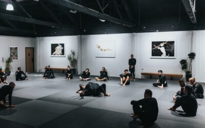 Comparativa de programas de bienestar holístico corporativo: Encuentra el ideal para tu empresa